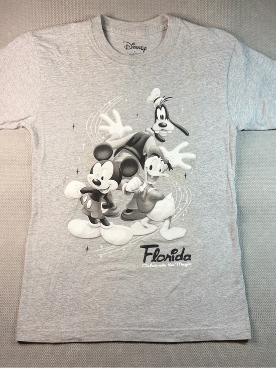 Disney Tops - Disney Gray Mickey, Donald & Goofy Florida Graphic Tee